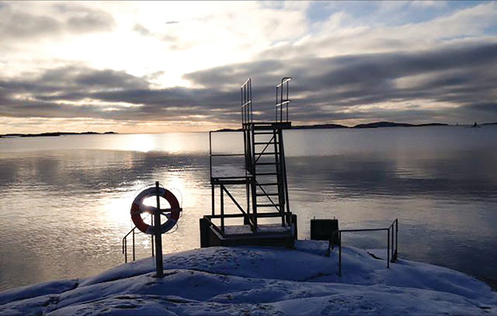 Ferienwohnung - Kungshamn , Schweden - S08964 18