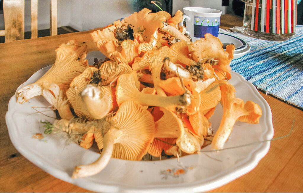 Ferienhaus - Hedekas , Schweden - S08409 12