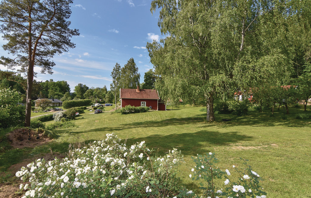 Bild 5 Bild 5