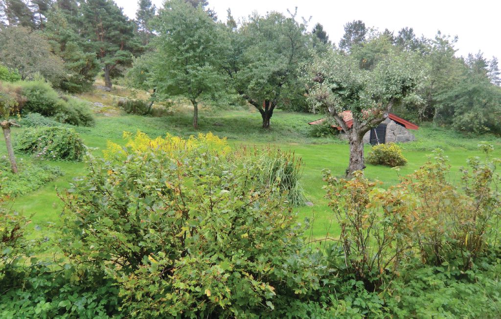 Feriehuse - Sankt Anna , Sverige - S09278 29