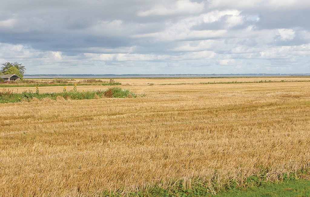 Ferienhaus - Ballum , Dänemark - S10331 2