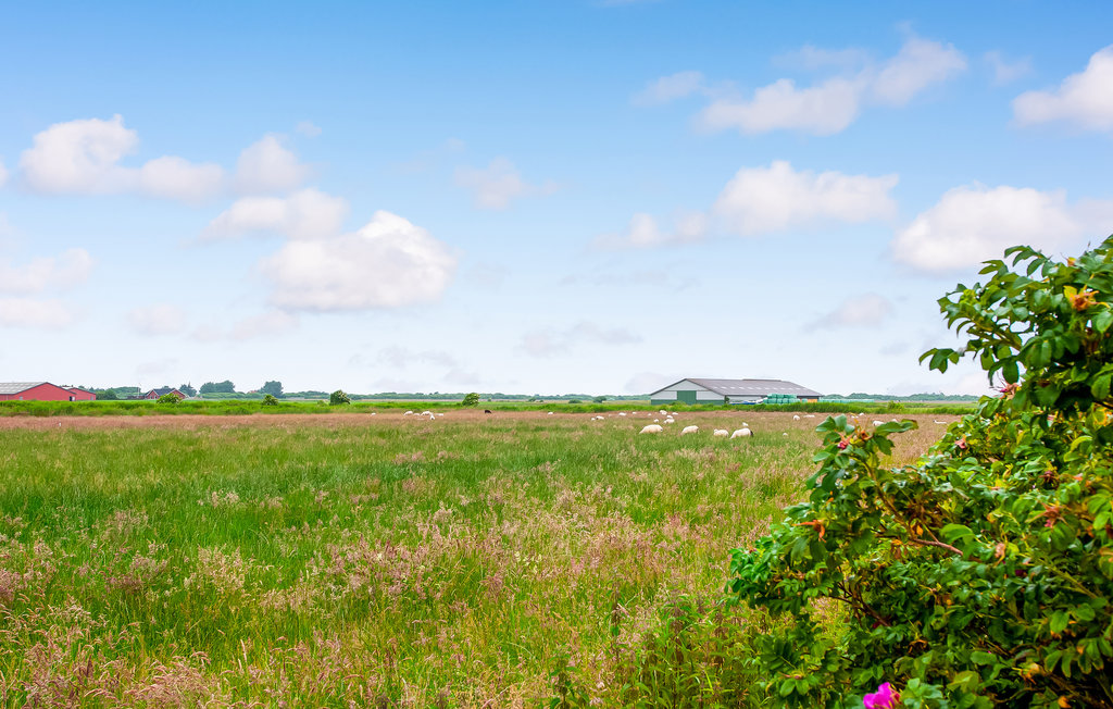 Feriehuse - Mandø , Danmark - S10342 13