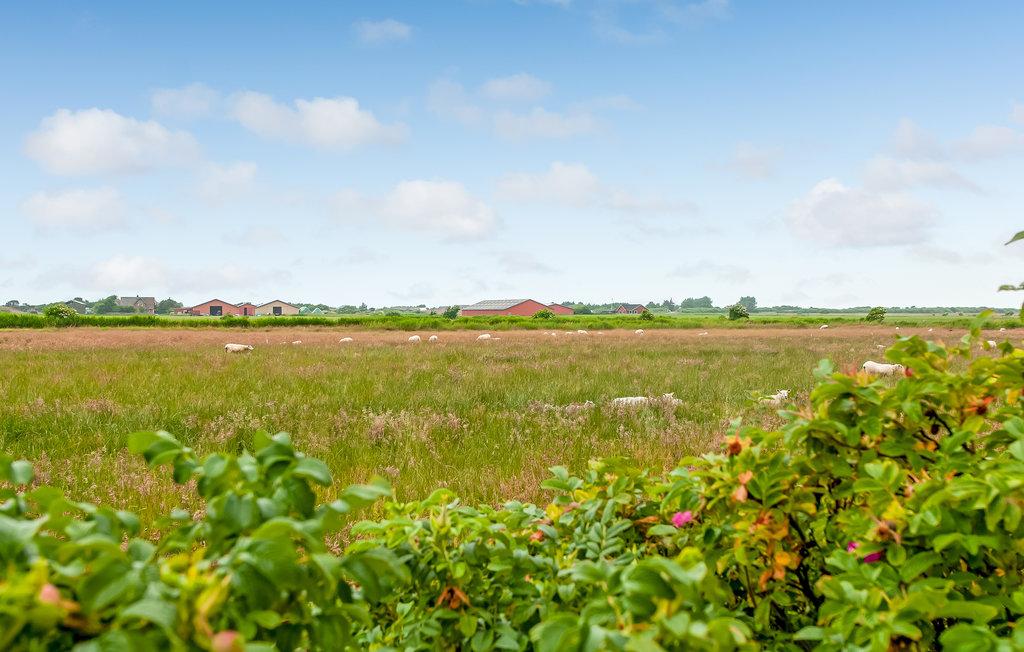 Ferienhaus - Mandø , Dänemark - S10343 14