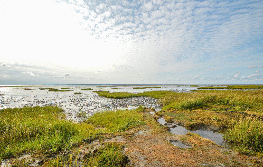 Feriehuse - Skærbæk , Danmark - S10206 6