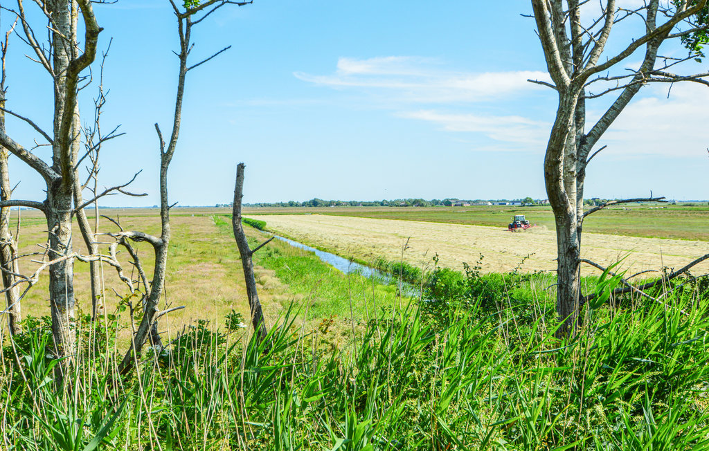 Feriehuse - Højer , Danmark - S10036 44