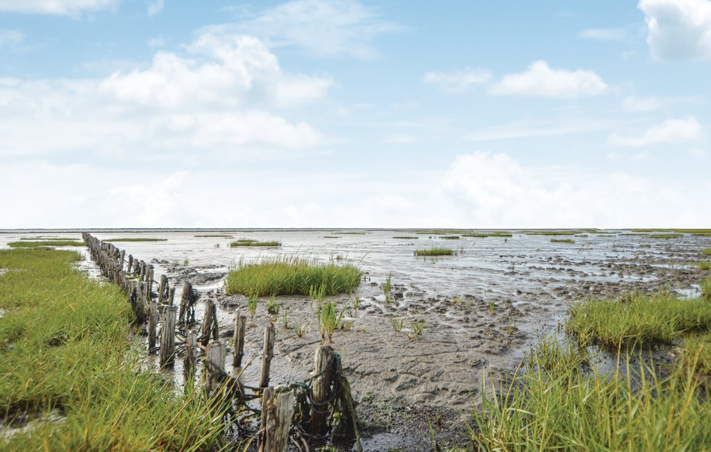 Feriehuse - Ballum , Danmark - S10300 29