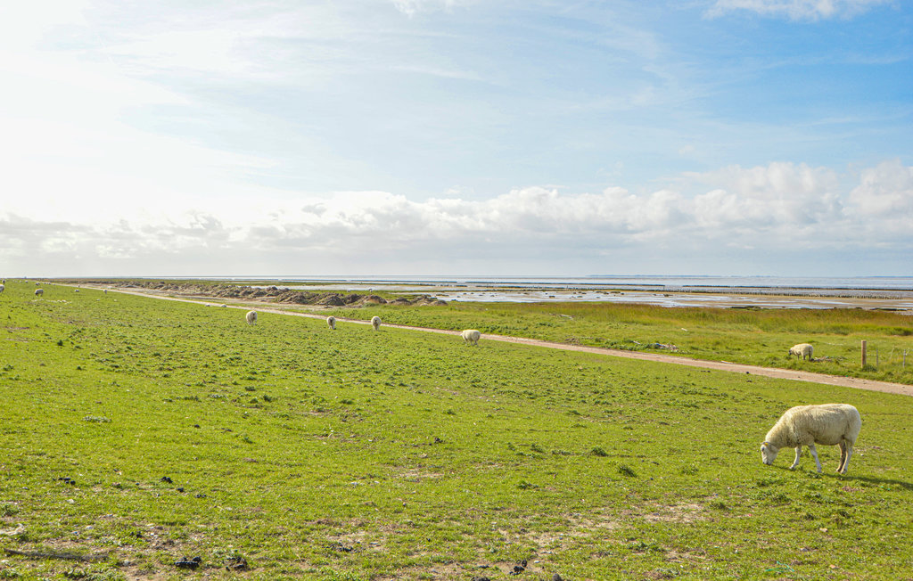 Feriehuse - Tønder , Danmark - S10106 26