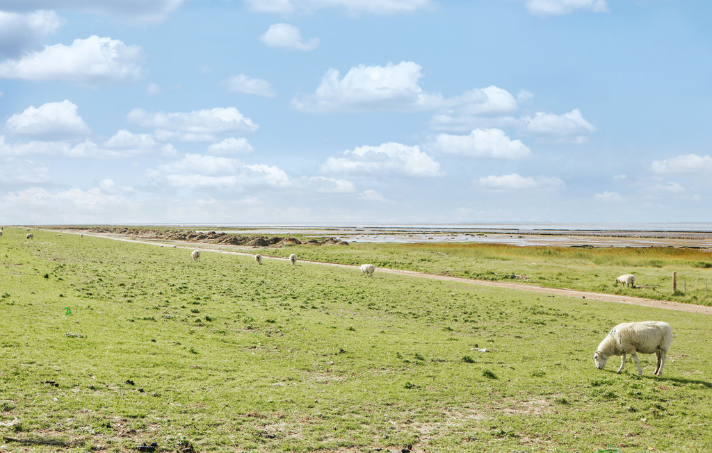 Feriehuse - Tønder , Danmark - S10358 23