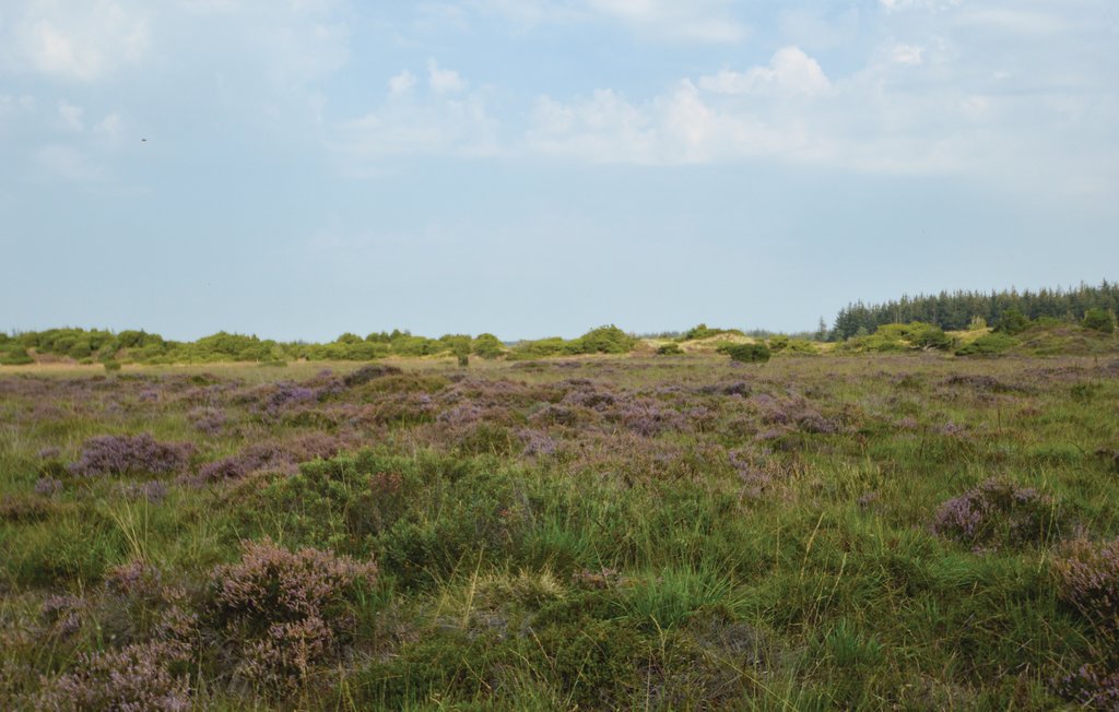 Feriehus - Arrild Ferieby , Danmark - S10270 26