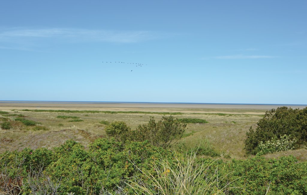 Feriehuse - Mandø , Danmark - S10342 22