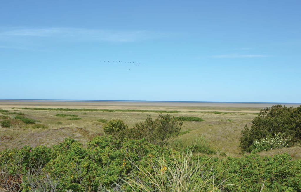 Feriehuse - Mandø , Danmark - S10377 28