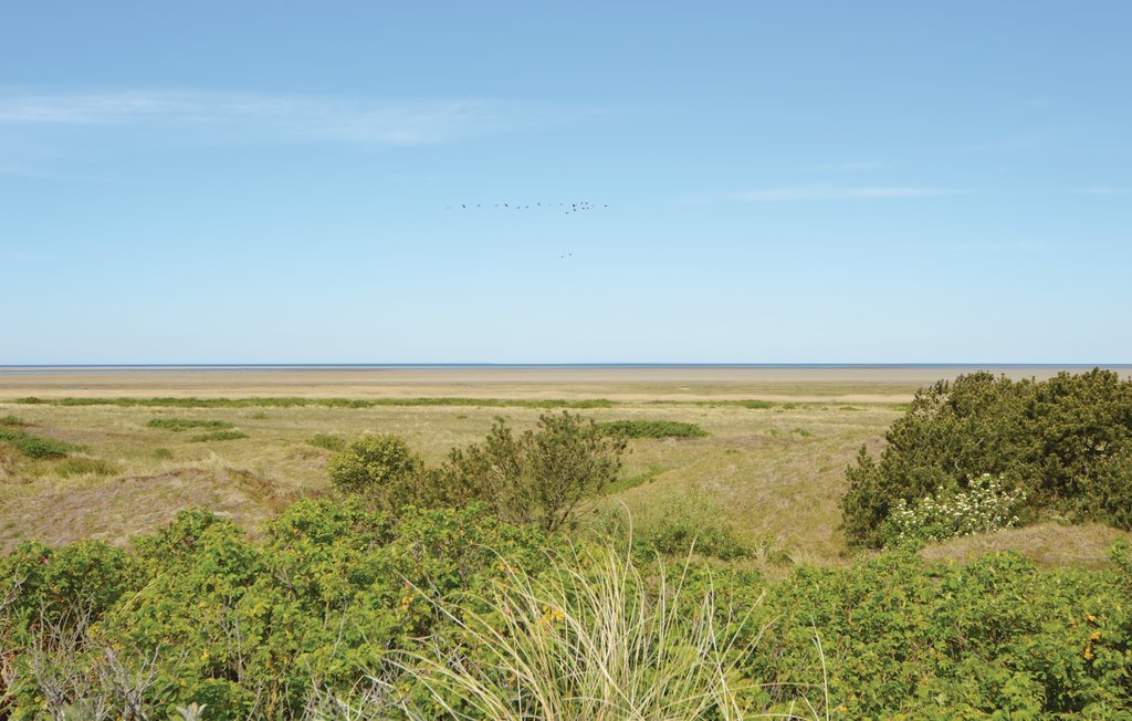 Ferienhaus - Mandø , Dänemark - S10343 22