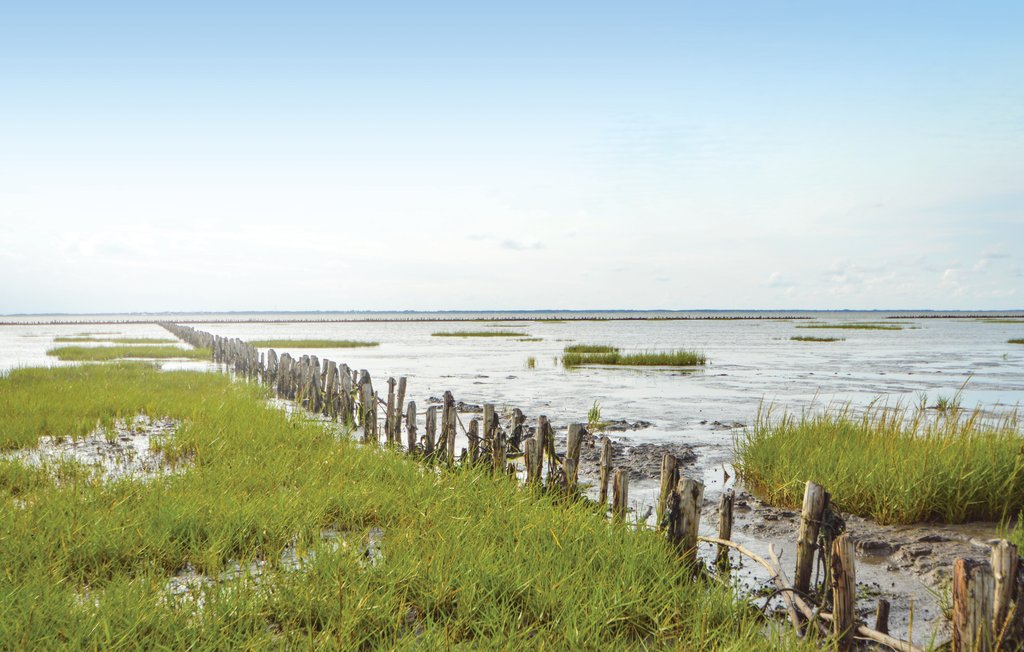 Ferienhaus - Ballum , Dänemark - S10011 37
