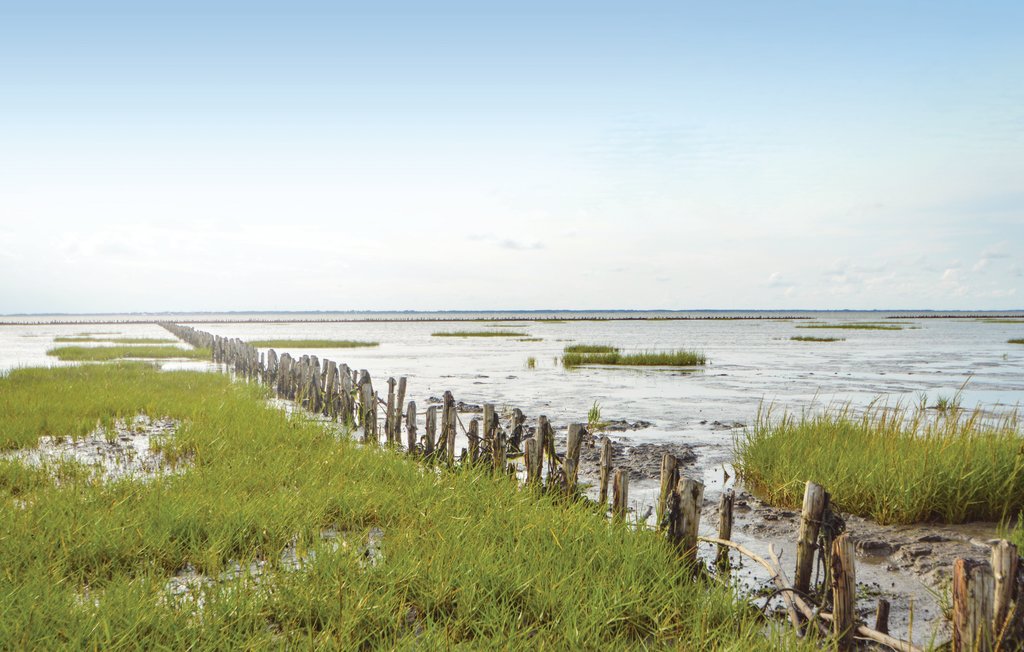 Feriehuse - Ballum , Danmark - S10222 26