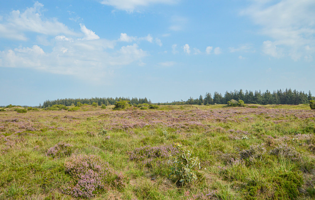 Ferienhaus - Arrild Ferieby , Dänemark - S10159 26