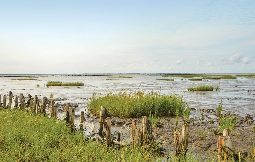 Ferienhaus - Ballum , Dänemark - S10268 28