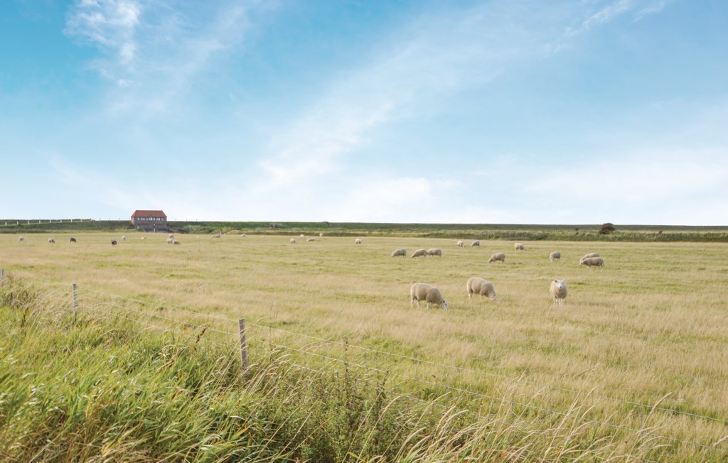 Feriehuse - Ballum , Danmark - S10292 31