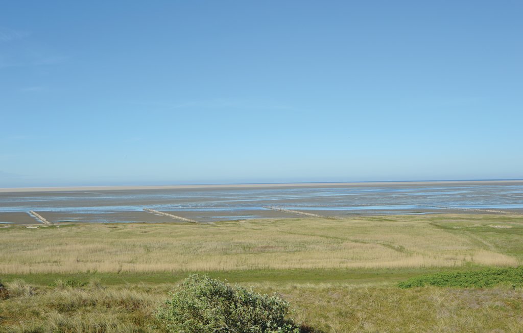 Ferienhaus - Mandø , Dänemark - S10330 20