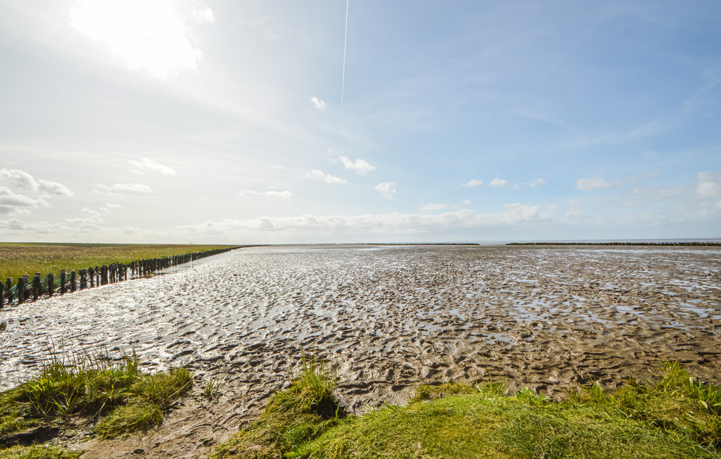 Feriehuse - Højer , Danmark - S10036 43