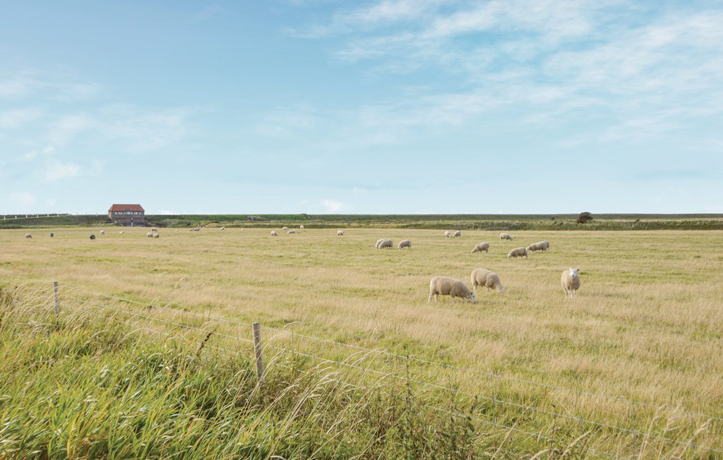 Feriehuse - Ballum , Danmark - S10300 27