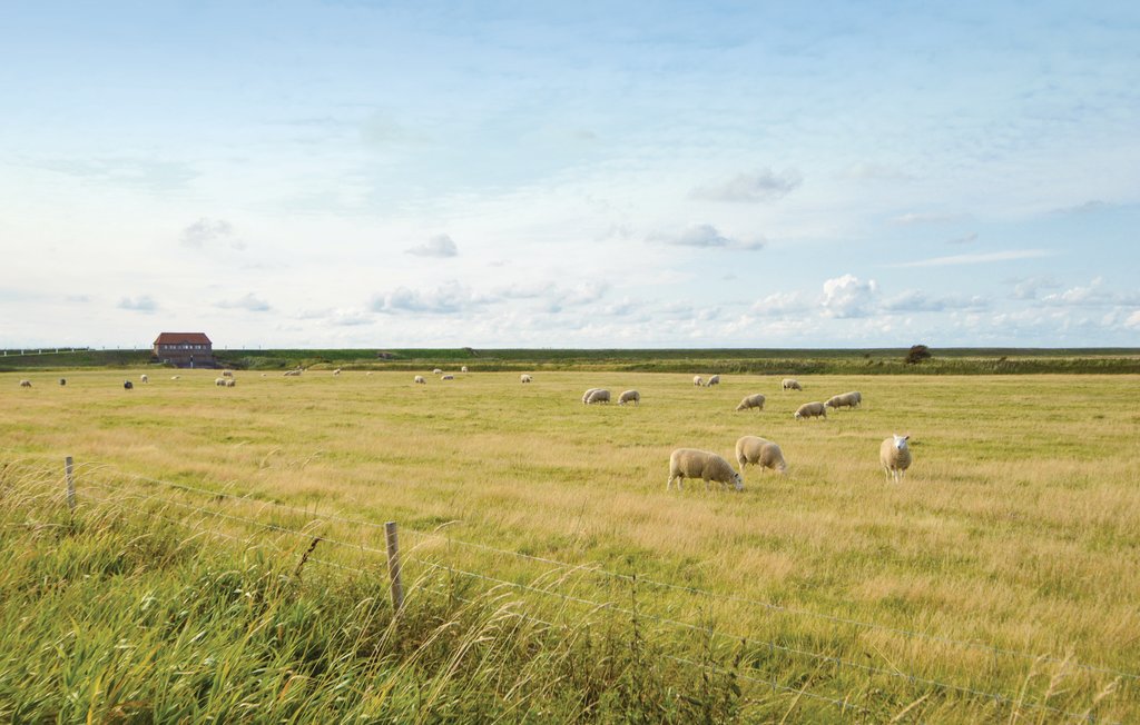 Ferienhaus - Ballum , Dänemark - S10331 23