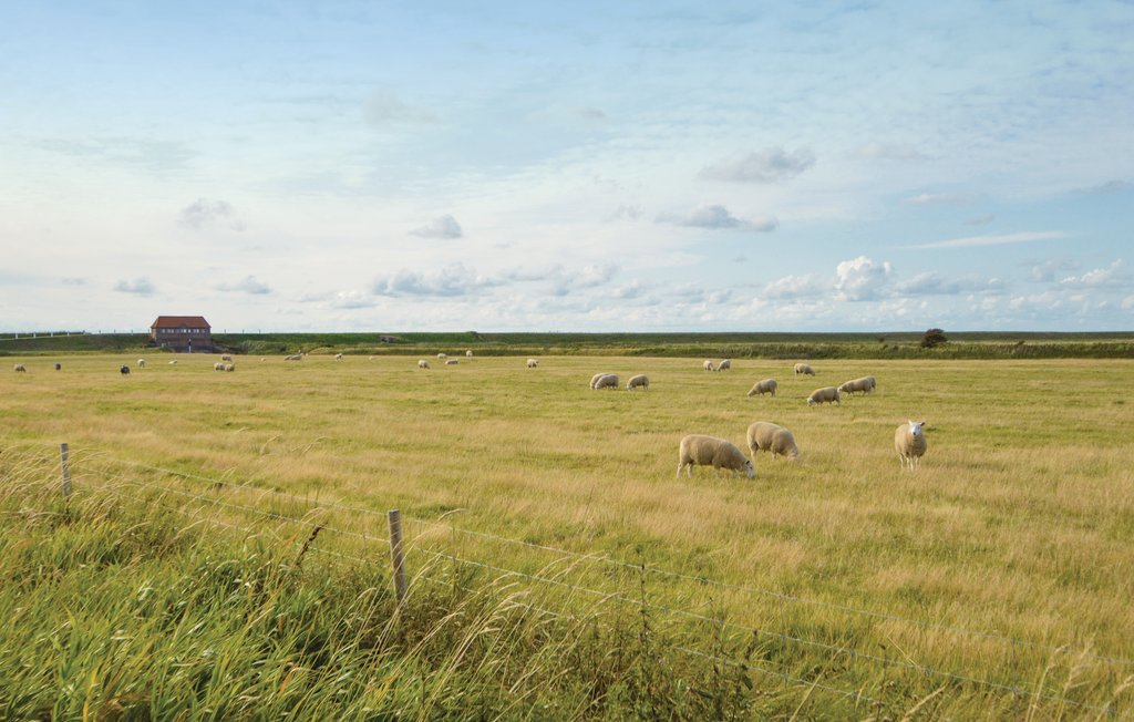 Feriehuse - Ballum , Danmark - S10222 27