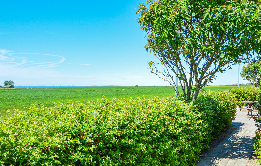 Ferienhaus - Ballum , Dänemark - S10331 14