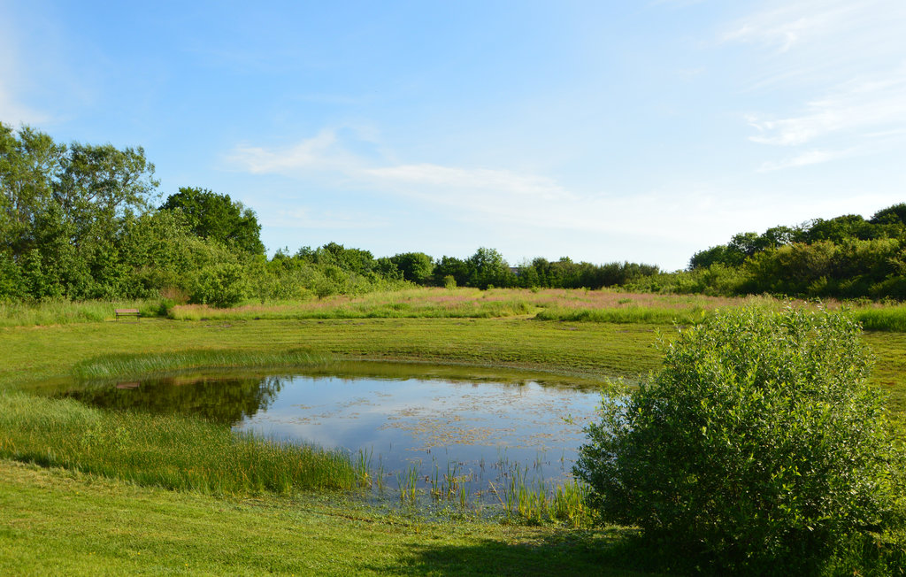Ferienhaus - Toftlund , Dänemark - S10105 10