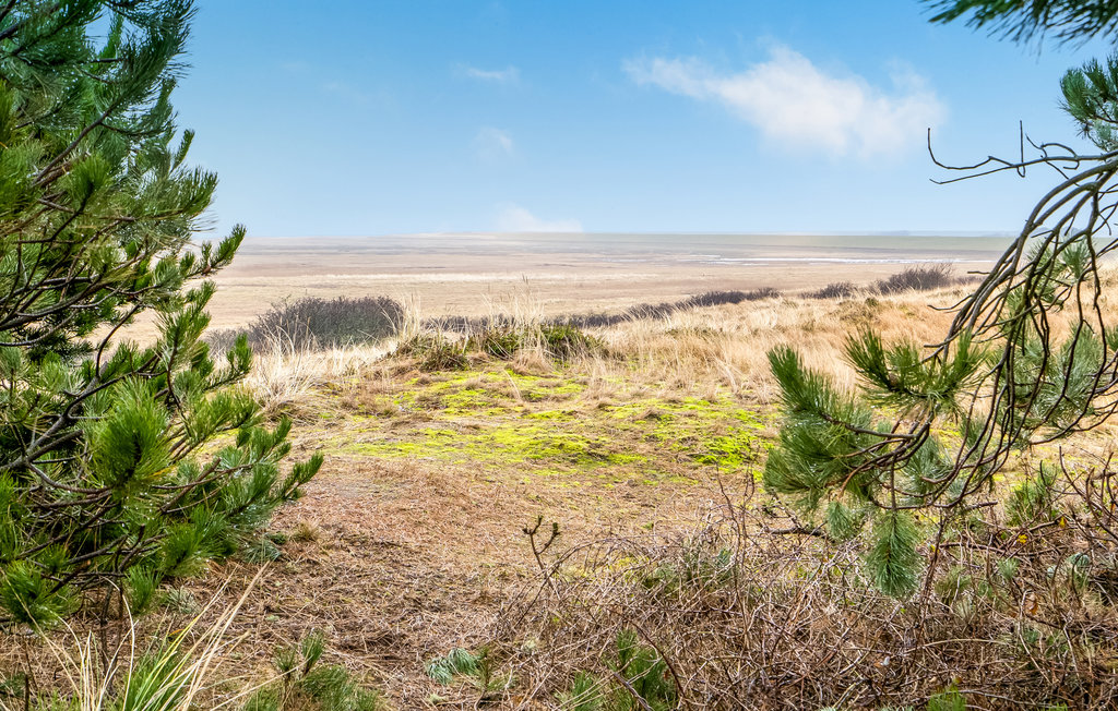 Feriehuse - Mandø , Danmark - S10377 12