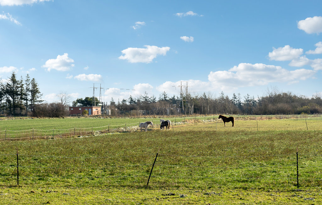 Ferienhaus - Ballum , Dänemark - S10023 13