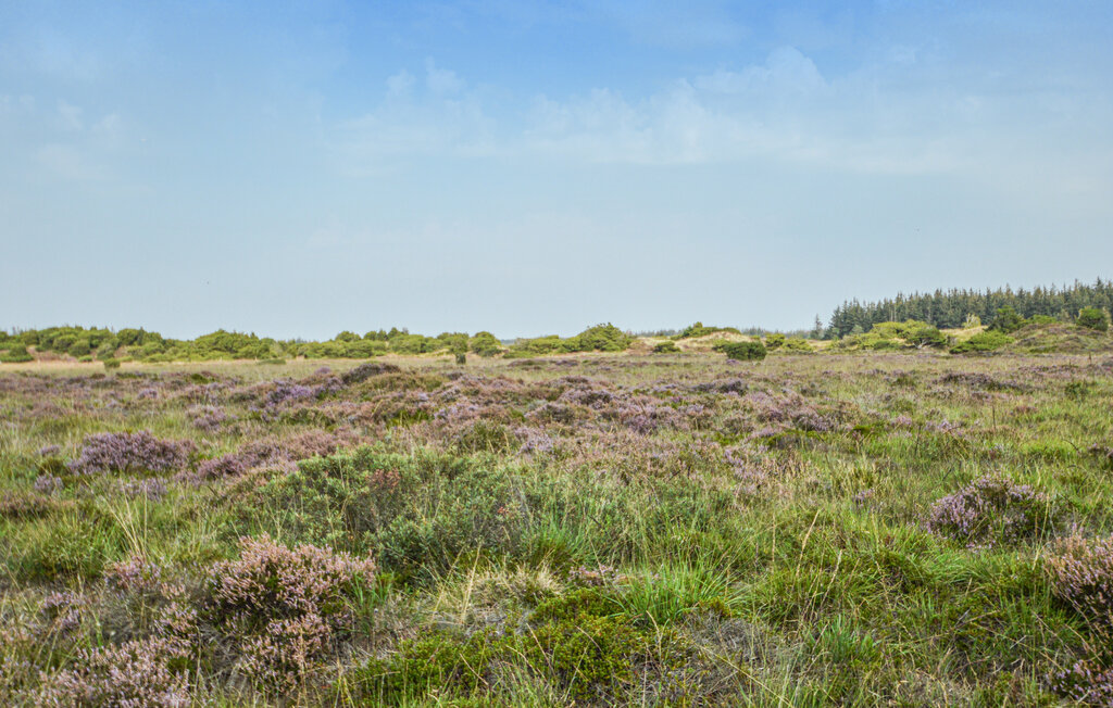 Feriehuse - Arrild Ferieby , Danmark - S10396 21