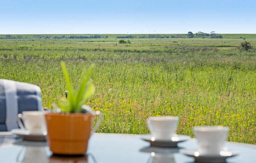 Ferienhaus - Mandø , Dänemark - S10003 14