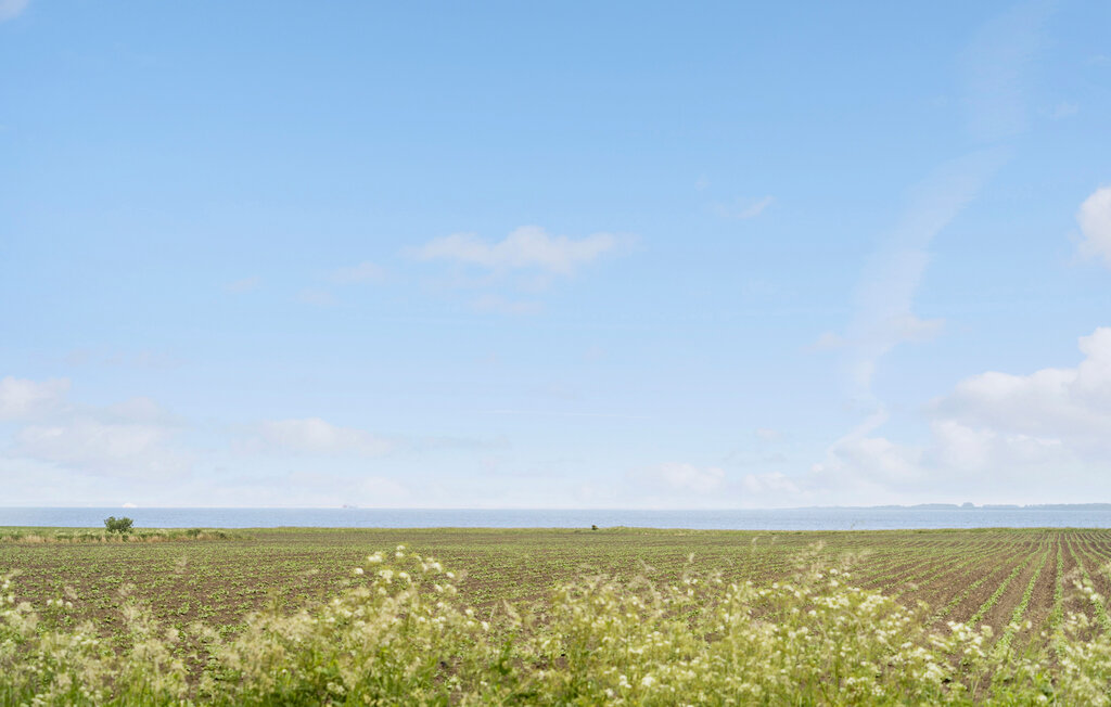 Feriehuse - Ballum , Danmark - S10052 16