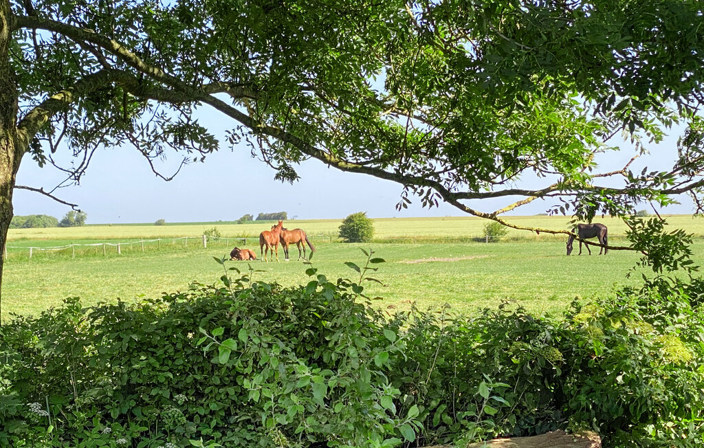 Feriehuse - Højer , Danmark - S10379 25