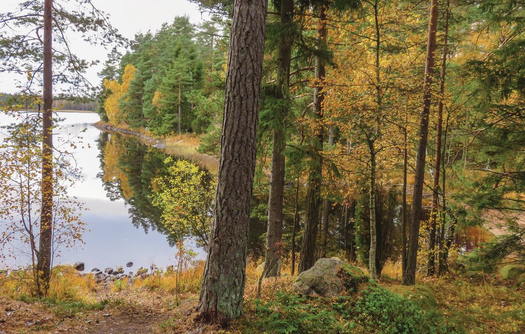 Feriehus - Vesljunga/Vittsjö , Sverige - S11058 8