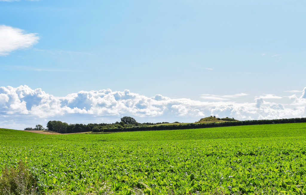 Feriehuse - Ystad , Sverige - S11178 6