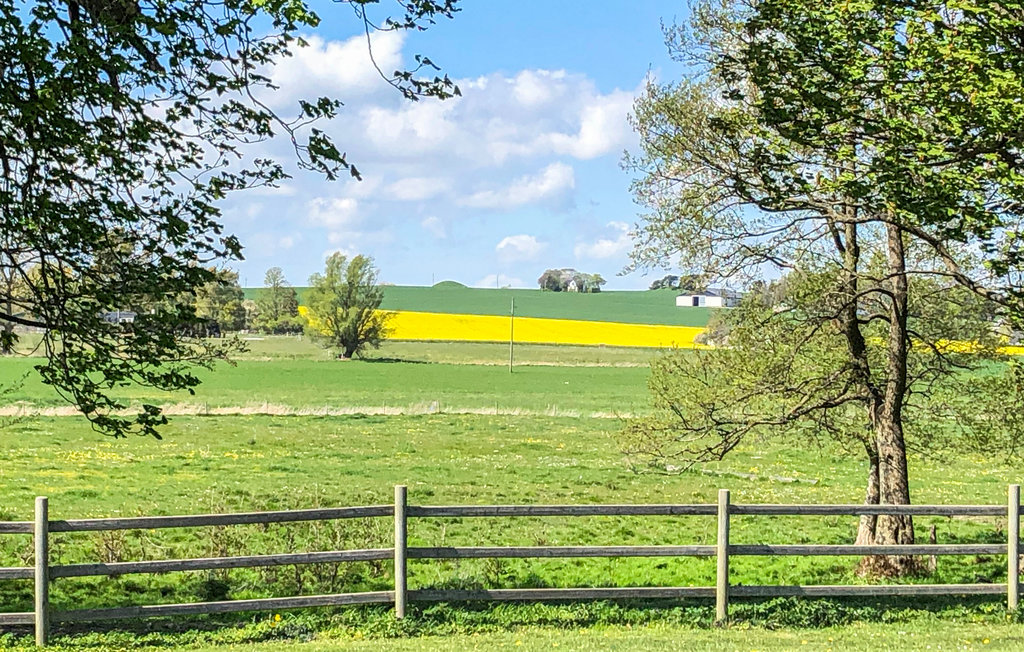 Ferienhaus - Beddingestrand/Abbekås , Schweden - S11802 12