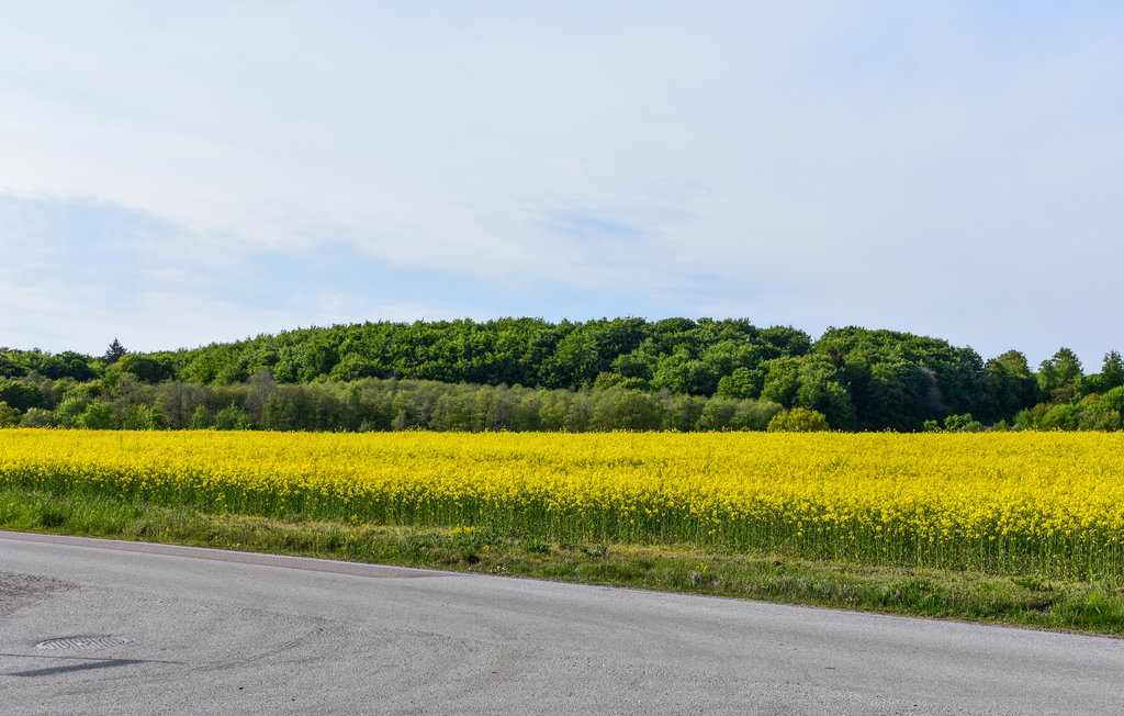 Semesterhus - Gyllebo/Österlen , Sverige - S11875 9