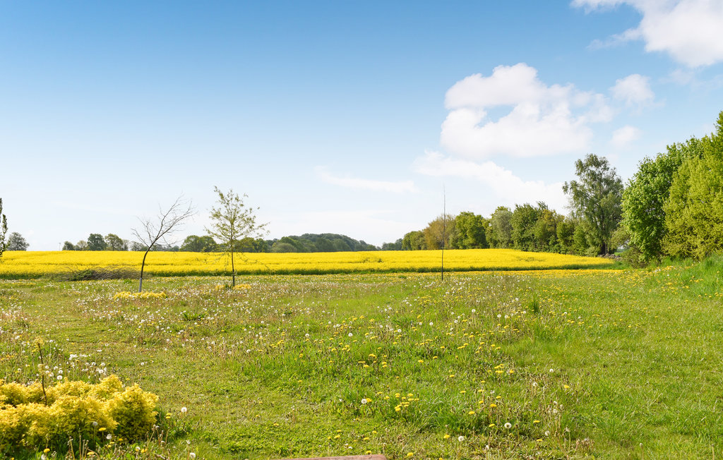 Feriehus - Höör/Ringsjön , Sverige - S11878 2