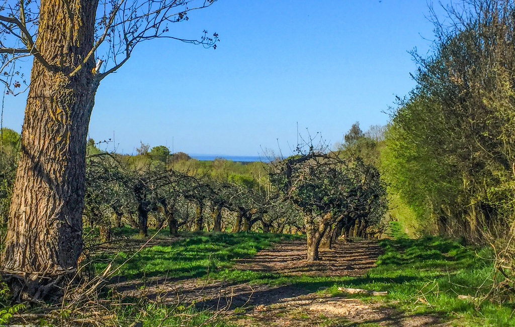 Semesterhus - Vitaby/Simrishamn , Sverige - S11974 2