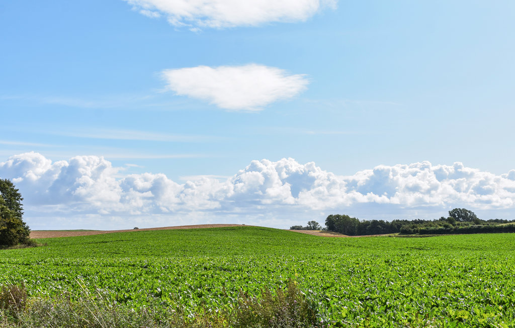 Feriehuse - Ystad , Sverige - S11178 7