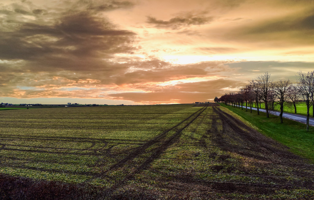 Ferienhaus - Tomelilla , Schweden - S11954 8