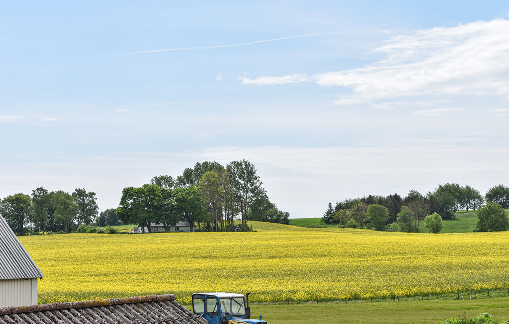 Ferienhaus - Tomelilla , Schweden - S11877 9