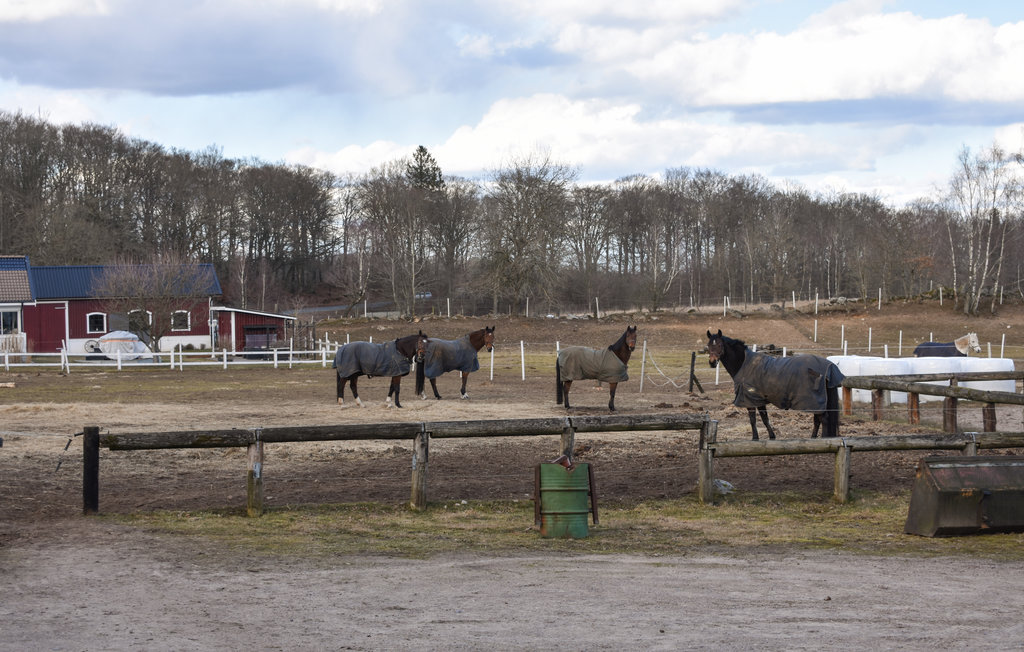 Feriehuse - Hässleholm , Sverige - S11958 6