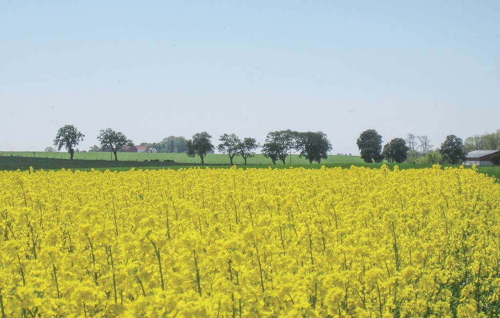 Semesterhus - Tomelilla , Sverige - S11547 19