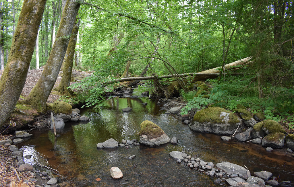 Semesterhus - Hässleholm/Vinslöv , Sverige - S11579 6