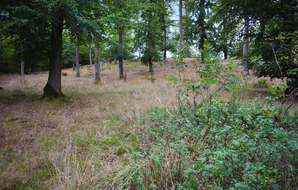 Semesterhus - Kristianstad/Östra Sönnarslöv , Sverige - S11717 20