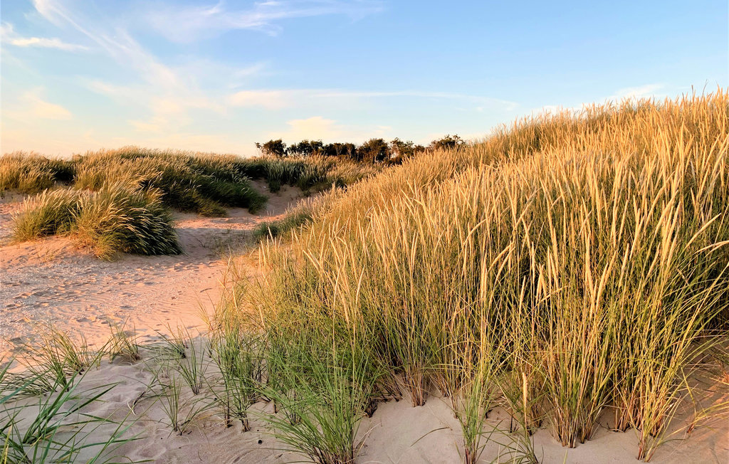 Feriehuse - Ängelholm , Sverige - S11763 15