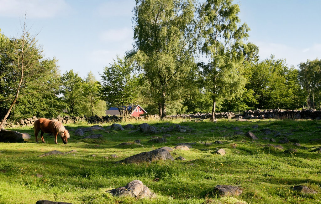 Feriehuse - Hörby/Linderödsåsen , Sverige - S11143 8