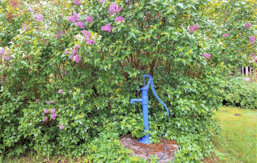 Feriehuse - Hörby , Sverige - S11905 8